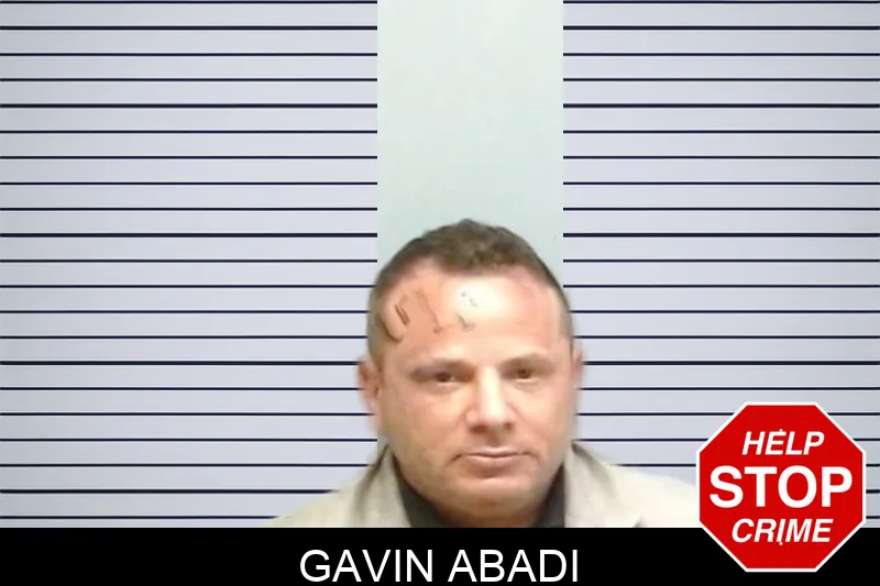 Gavin Abadi mugshot