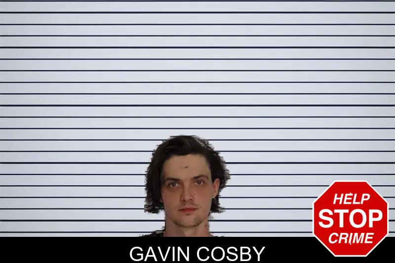 Gavin Cosby mugshot