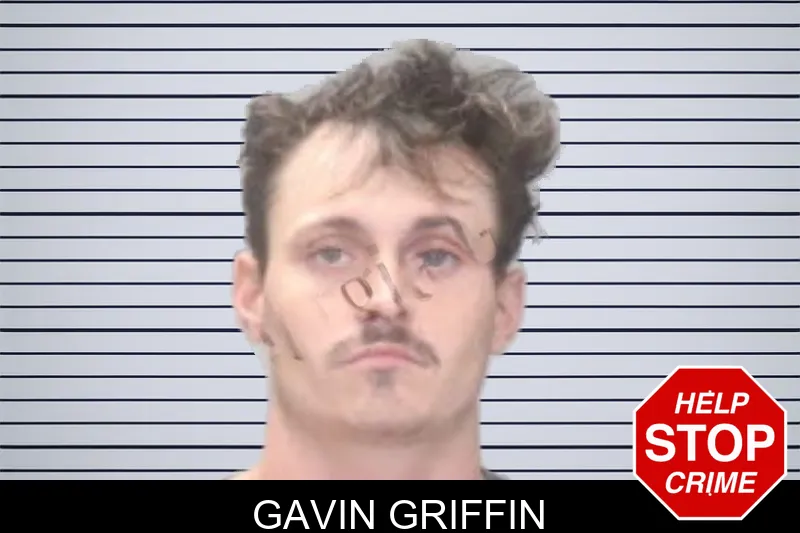 Gavin Griffin mugshot