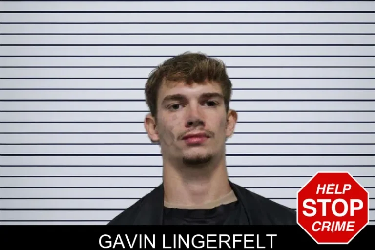 Gavin Lingerfelt mugshot – Habersham County , Georgia Gavin Lingerfelt
