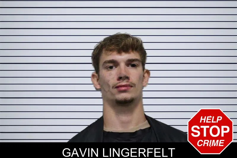 Gavin Lingerfelt mugshot