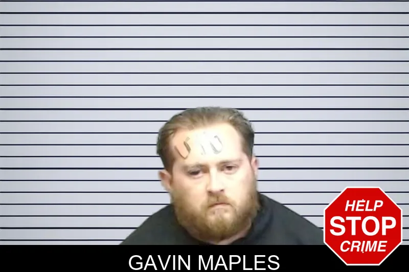 Gavin Maples mugshot – Fulton County , Georgia Gavin Maples mugshot