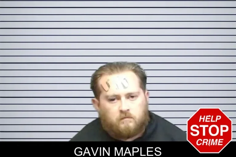 Gavin Maples