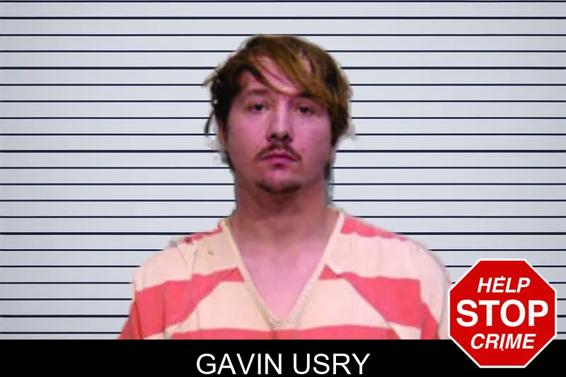 Gavin Usry mugshot