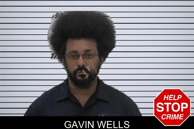 Gavin Wells mugshot – Coffee County , Georgia Gavin Wells mugshot