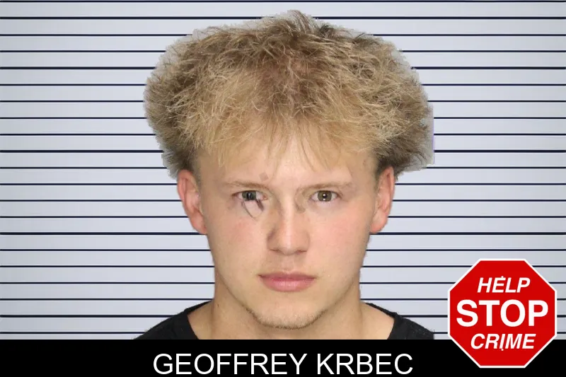 Geoffrey Krbec mugshot – Cobb County , Georgia Geoffrey Krbec mugshot
