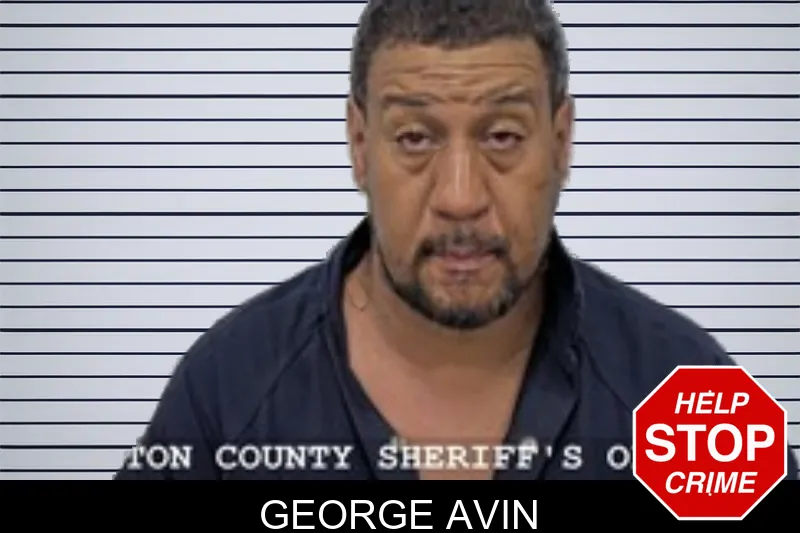 George Avin mugshot