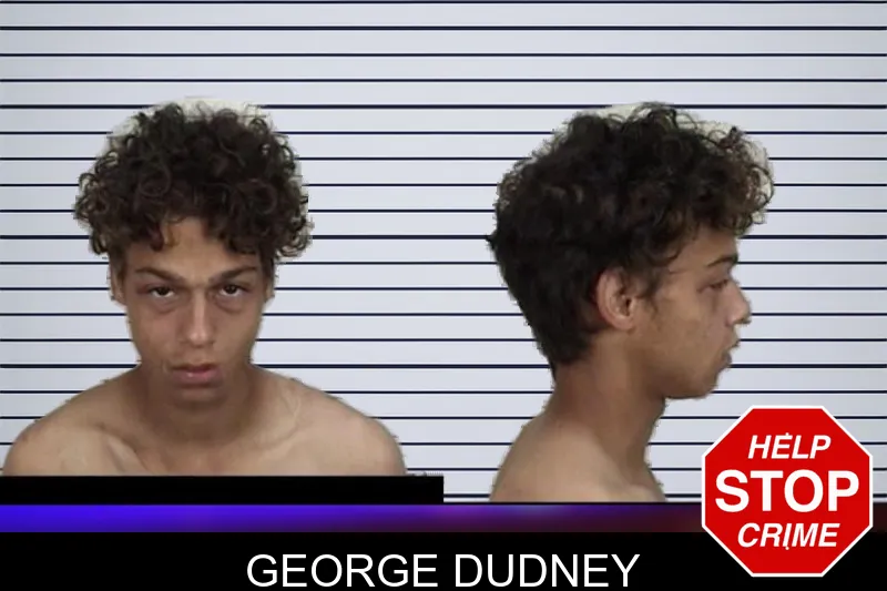 George Dudney mugshot – Camden County , Georgia George Dudney mugshot