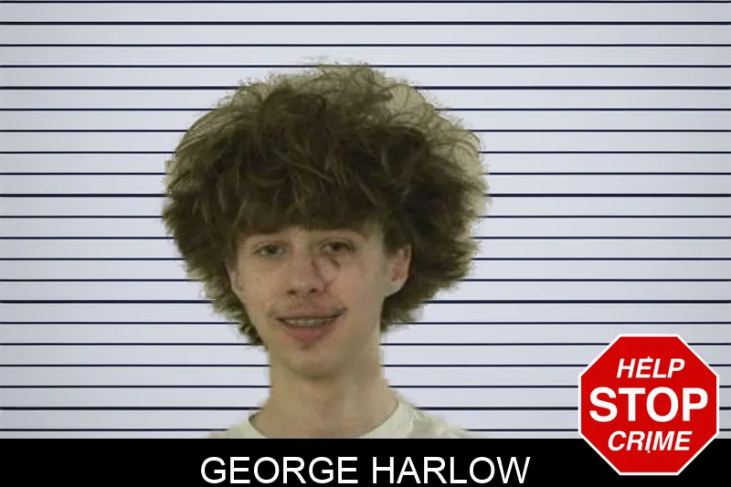 George Harlow mugshot