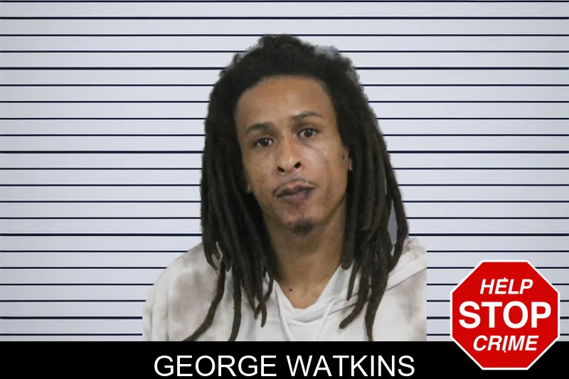 George Watkins mugshot