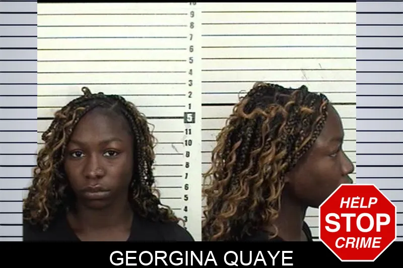 Georgina Quaye mugshot – Camden County , Georgia Georgina Quaye mugshot
