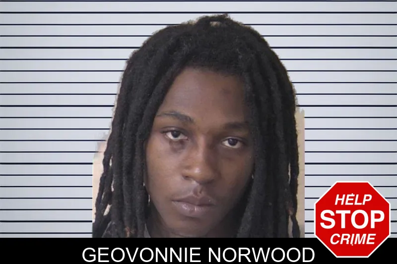 Geovonnie Norwood mugshot
