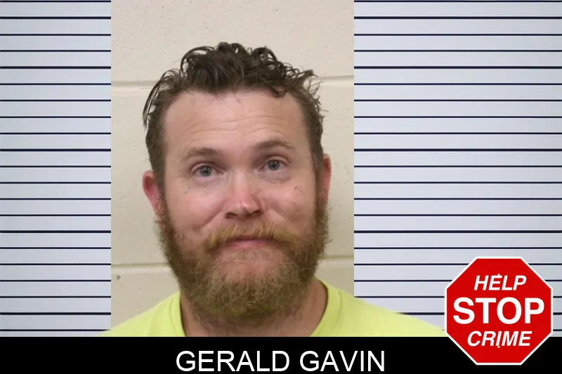 Gerald Gavin mugshot – Bulloch County , Georgia Gerald Gavin mugshot