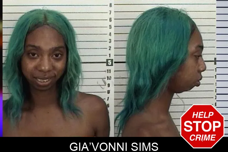 Gia’Vonni Sims mugshot