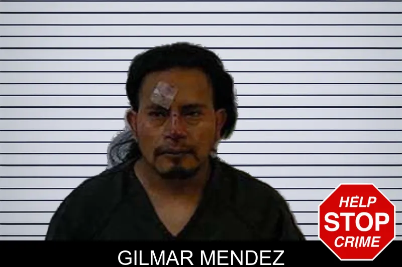 Gilmar Mendez mugshot