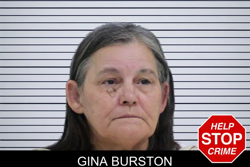 Gina Burston mugshot – Rabun County , Georgia Gina Burston mugshot
