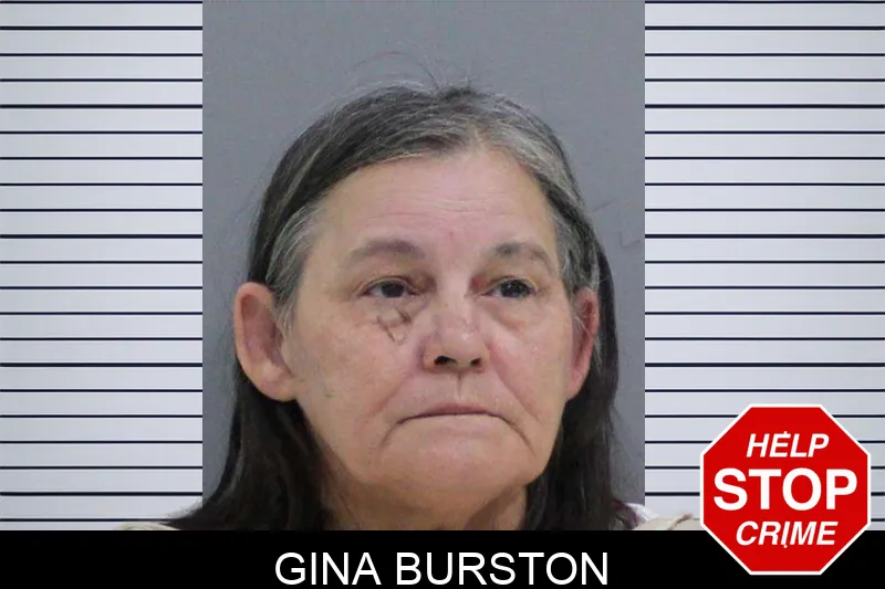 Gina Burston mugshot – Rabun County , Georgia Gina Burston mugshot