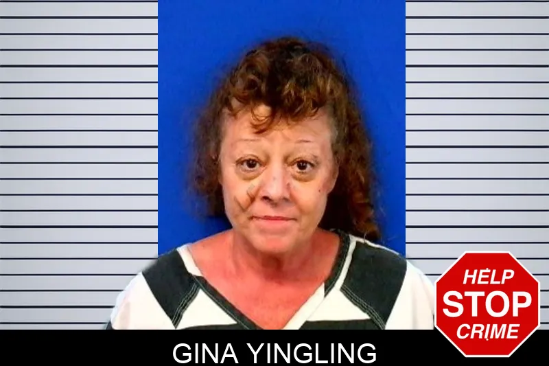 Gina Yingling mugshot – Troup County , Georgia Gina Yingling mugshot
