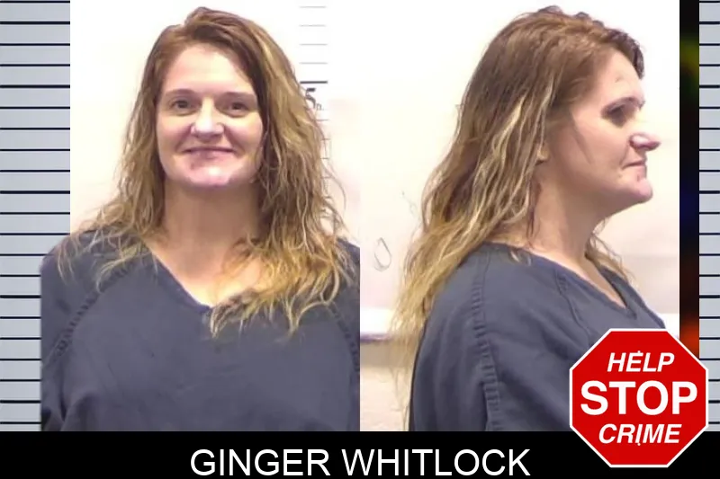 Ginger Whitlock mugshot