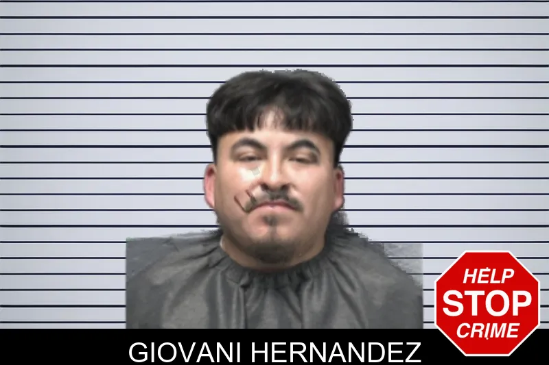 Giovani Hernandez mugshot