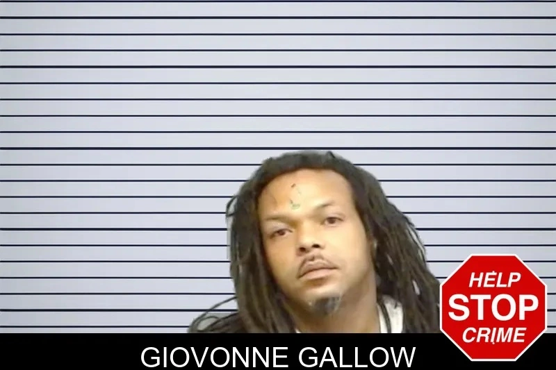 Giovonne Gallow mugshot – Fulton County , Georgia Giovonne Gallow mugshot