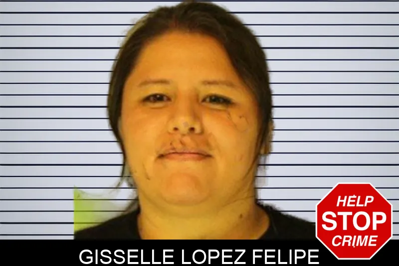 Gisselle Lopez Felipe mugshot – Hall County , Georgia Gisselle Lopez Felipe mugshot