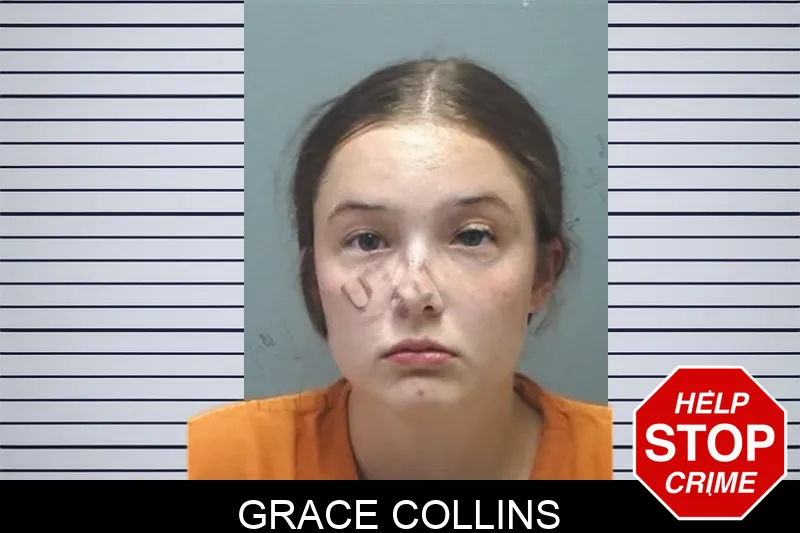 Grace Collins mugshot – Cherokee County , Georgia Grace Collins mugshot