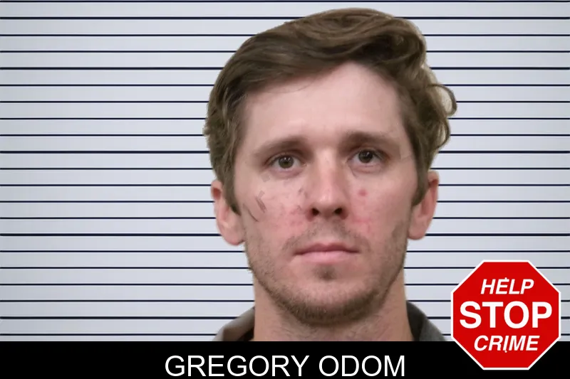 Gregory Odom mugshot – Bulloch County , Georgia Gregory Odom mugshot