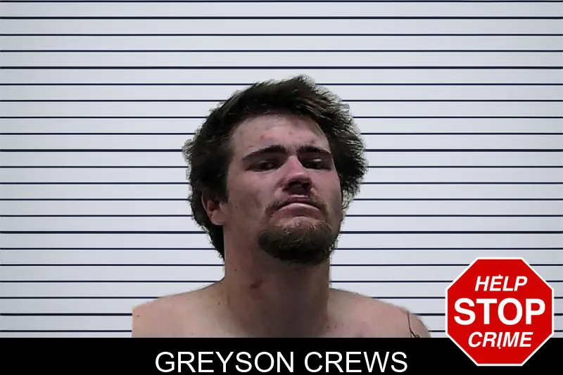 Greyson Crews mugshot – Pierce County , Georgia Greyson Crews mugshot