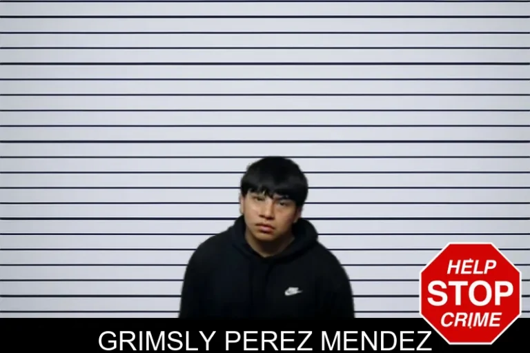 Grimsly Perez Mendez