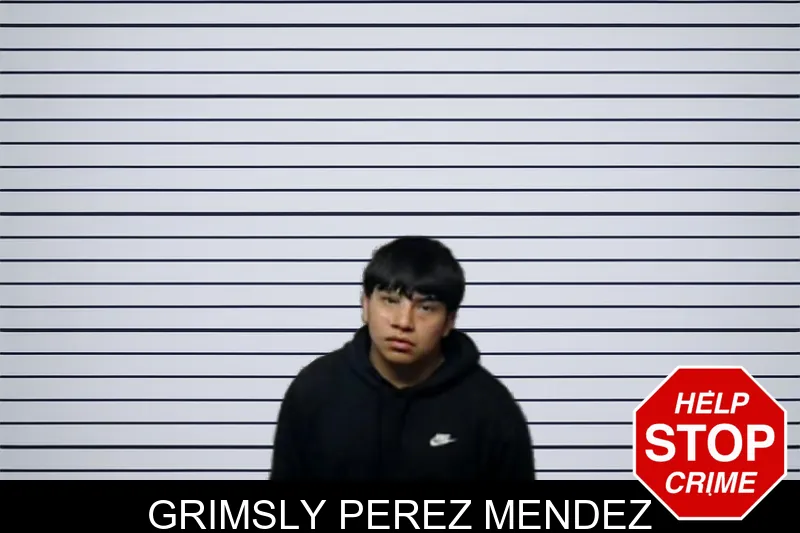 Grimsly Perez Mendez mugshot