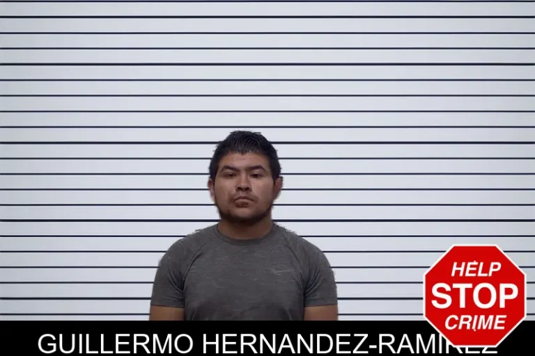 Guillermo Hernandez-Ramirez