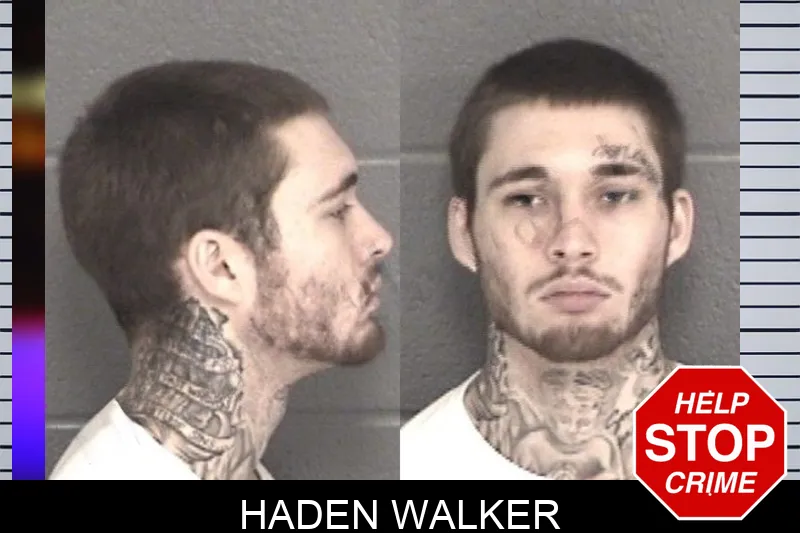 Haden Walker mugshot
