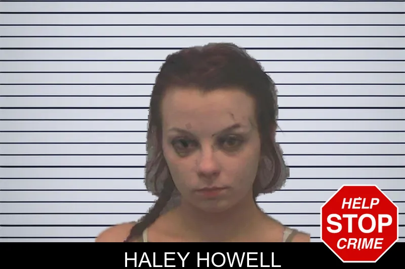Haley Howell mugshot
