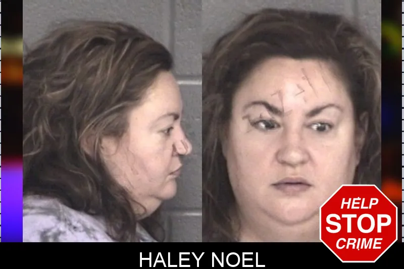 Haley Noel mugshot – Barrow County , Georgia Haley Noel mugshot