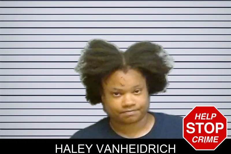 Haley Vanheidrich mugshot – Fulton County , Georgia Haley Vanheidrich mugshot