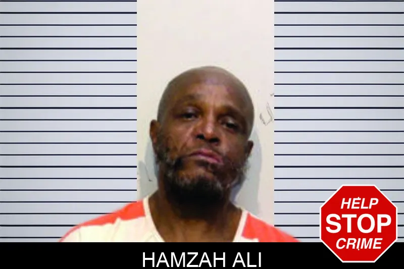 Hamzah Ali mugshot – Bartow County , Georgia Hamzah Ali mugshot