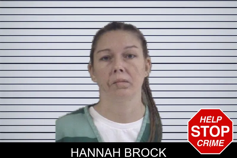 Hannah Brock mugshot