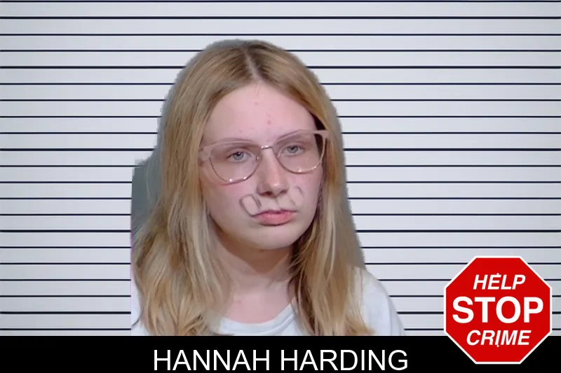 Hannah Harding mugshot – Glynn County , Georgia Hannah Harding mugshot