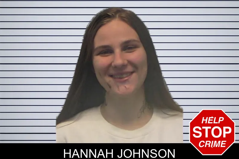 Hannah Johnson mugshot