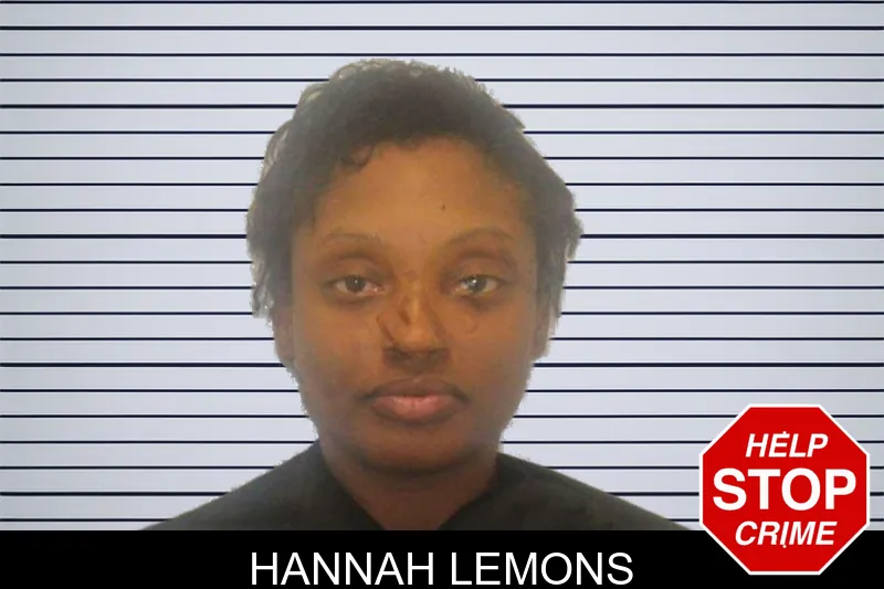 Hannah Lemons mugshot