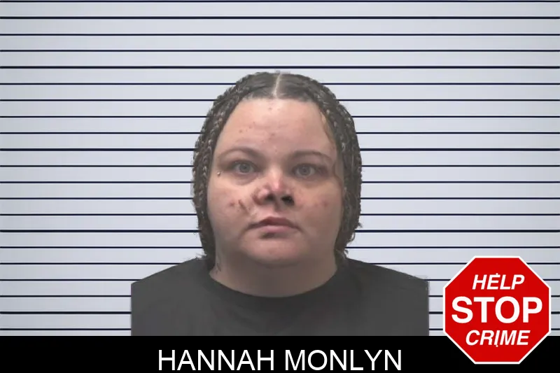 Hannah Monlyn mugshot