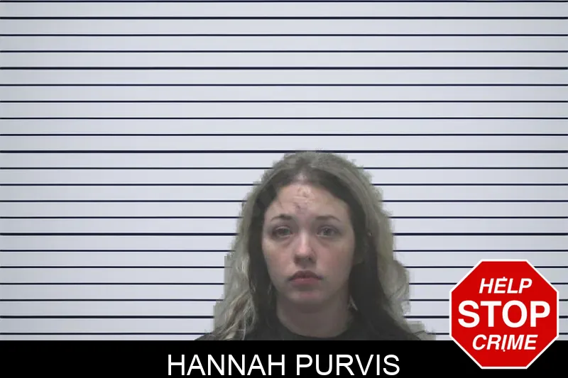 Hannah Purvis mugshot