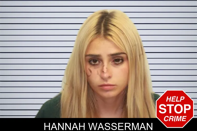 Hannah Wasserman mugshot – Chatham County , Georgia Hannah Wasserman mugshot