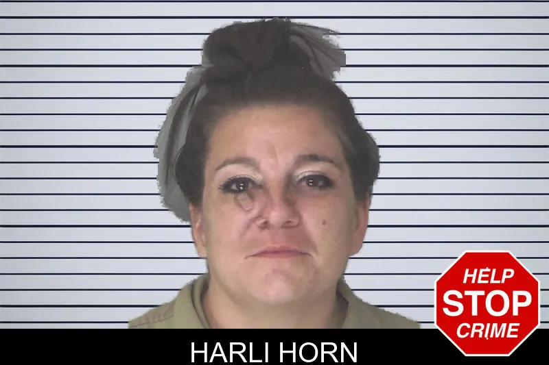 Harli Horn mugshot