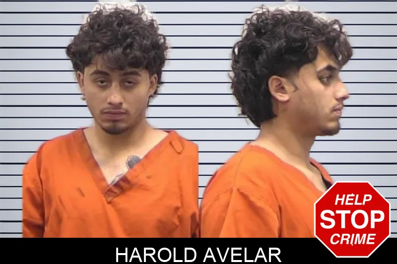 Harold Avelar mugshot