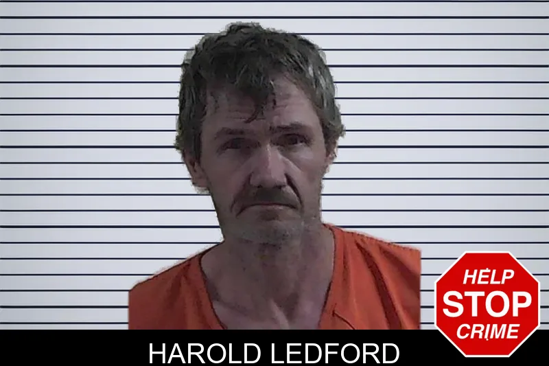 Harold Ledford mugshot – Fannin County , Georgia Harold Ledford mugshot