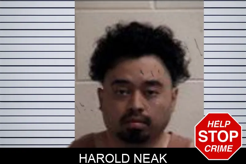 Harold Neak mugshot – Henry County , Georgia Harold Neak mugshot
