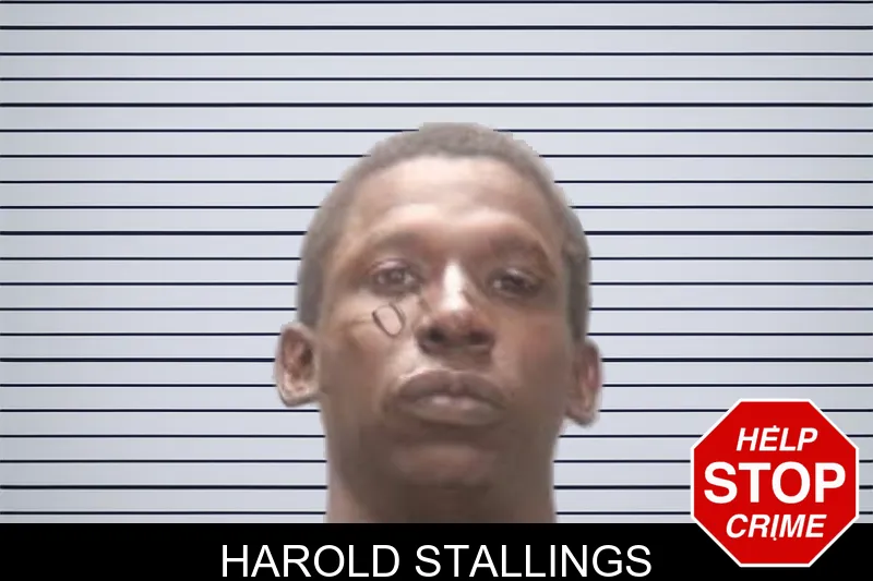 Harold Stallings mugshot