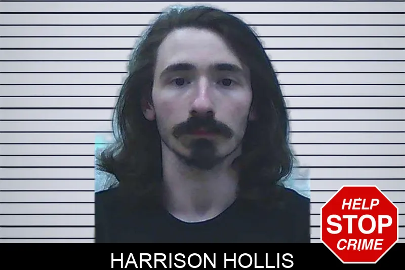 Harrison Hollis mugshot